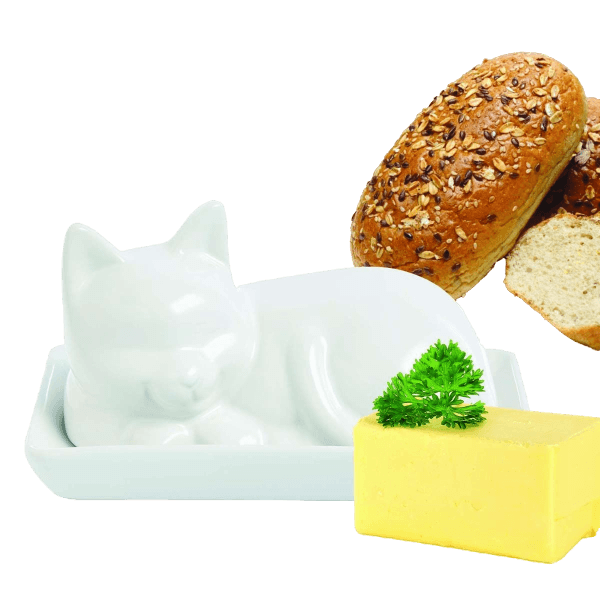 White porcelain cat-shaped butter dish with lid for kitchen storage and food organization under $50