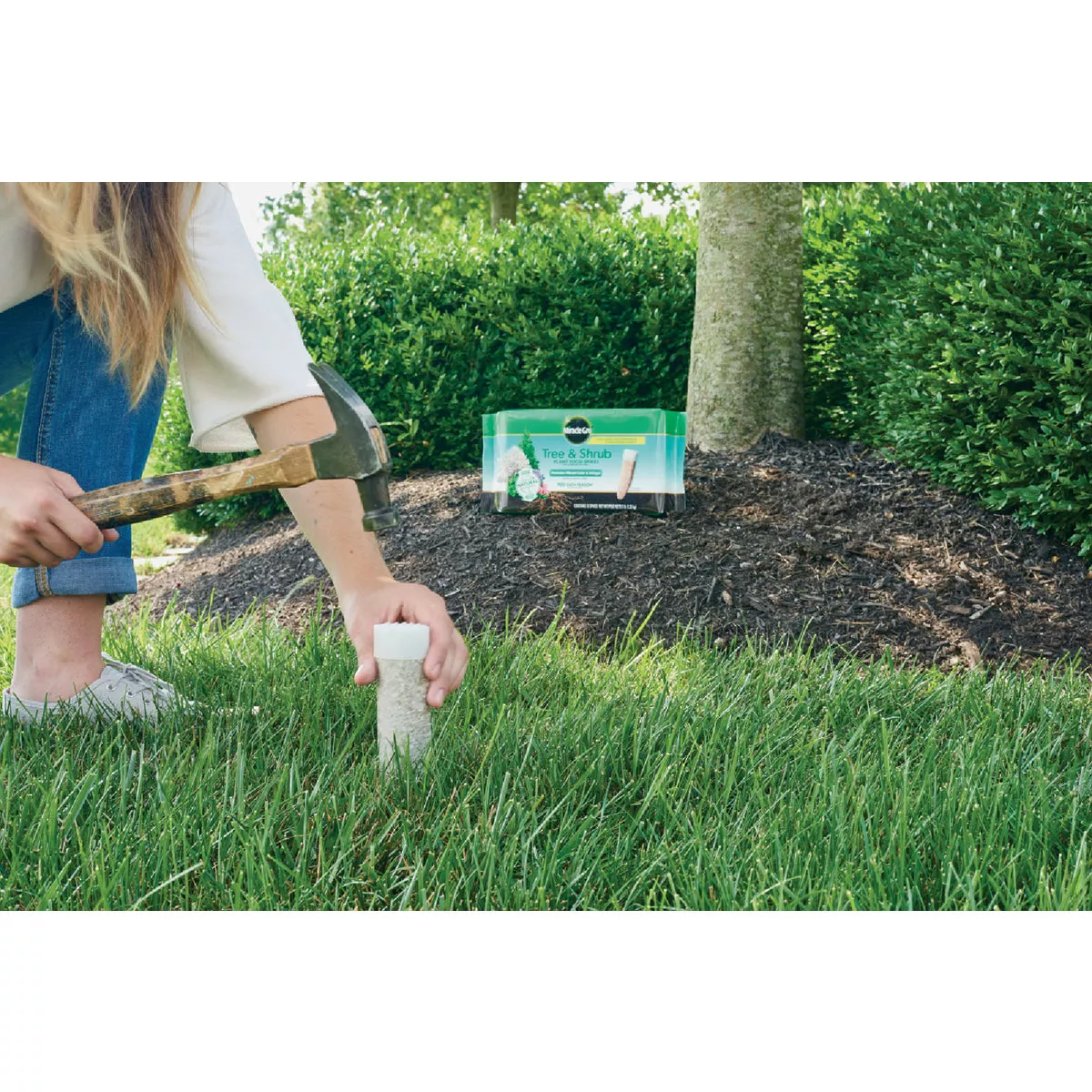 Miracle-Gro Tree & Shrub Fertilizer Spikes, 12-Pack