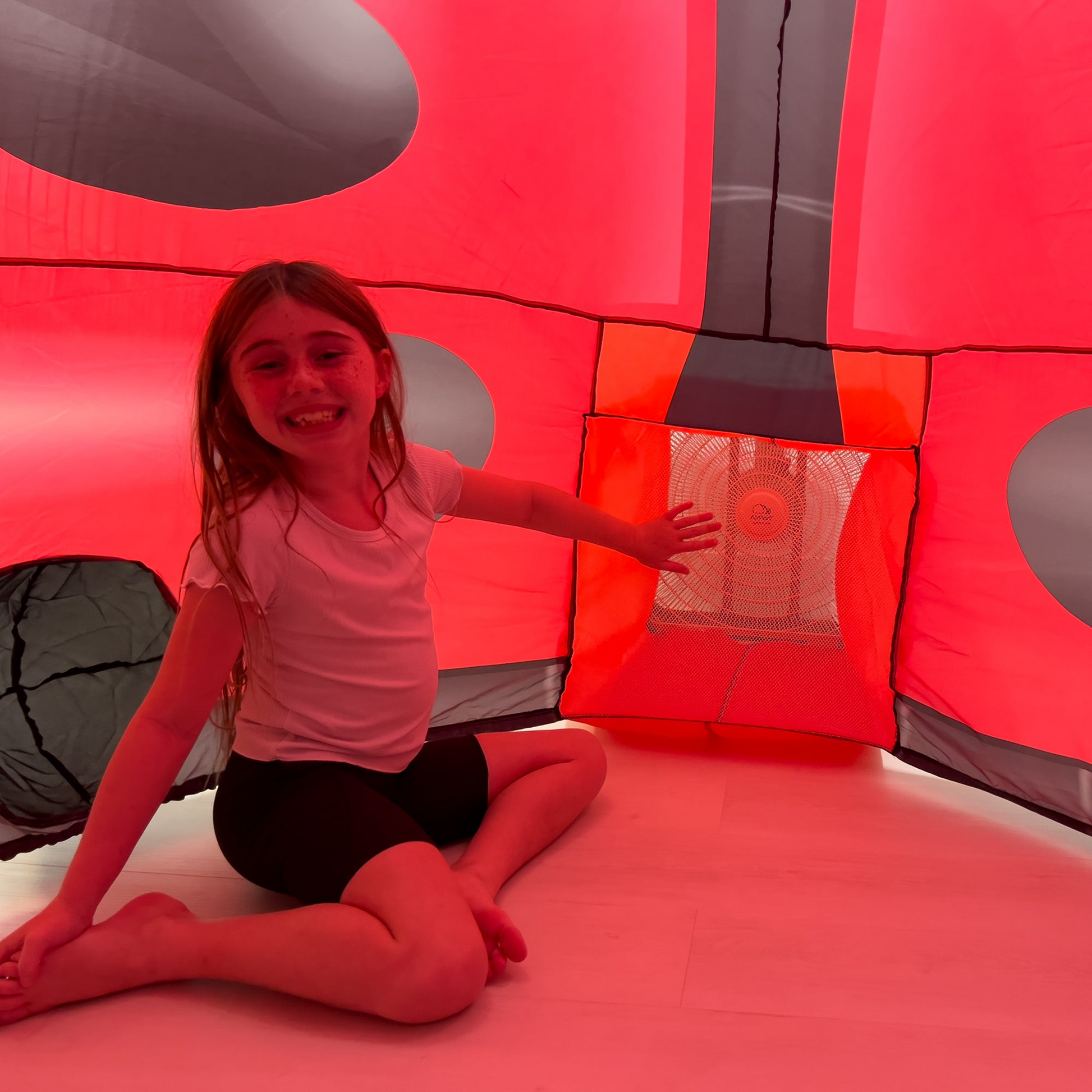 lady bug tent The Original AirFort