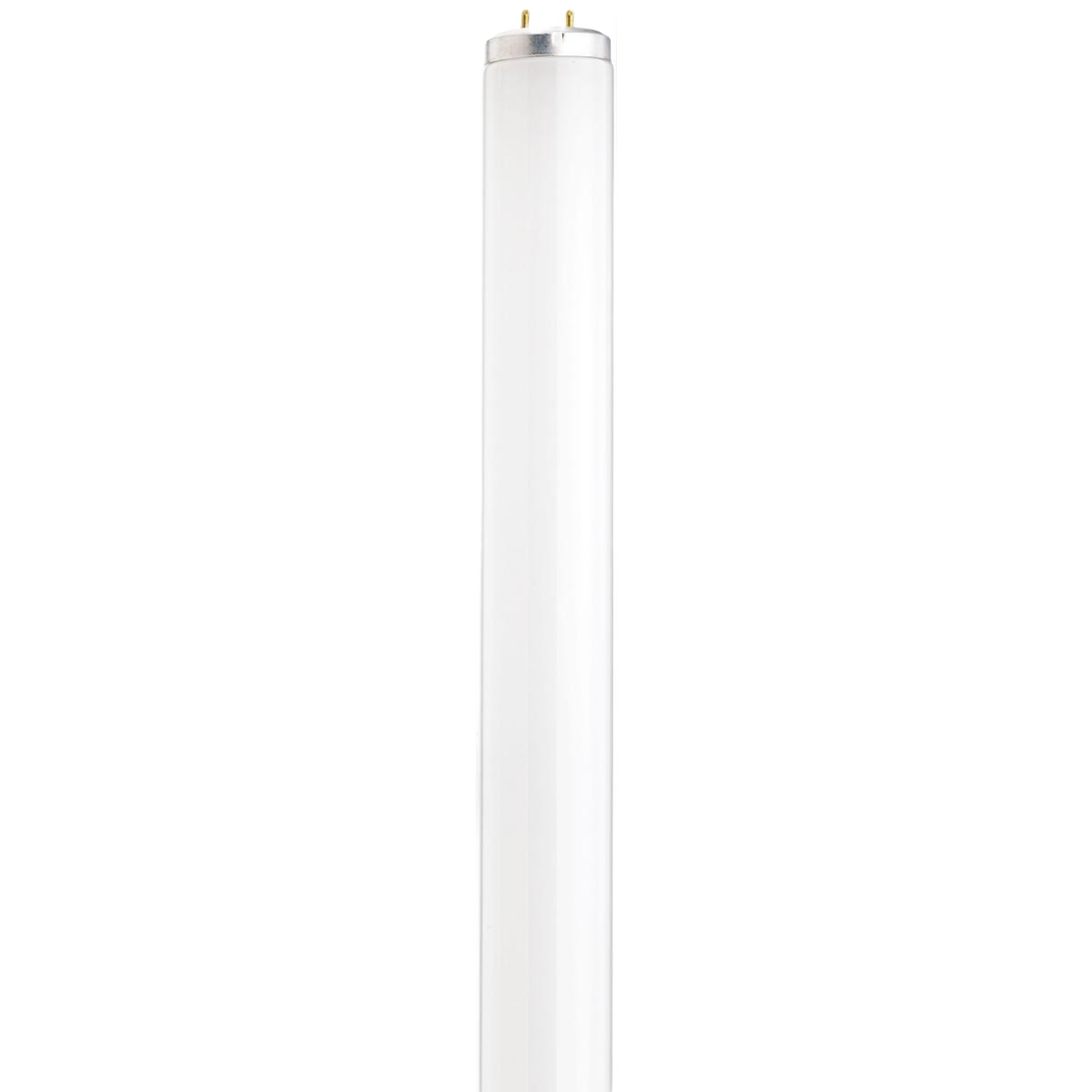 Fluorescent T12 tube light bulb with medium bi-pin base for home improvement lighting under $50 collection