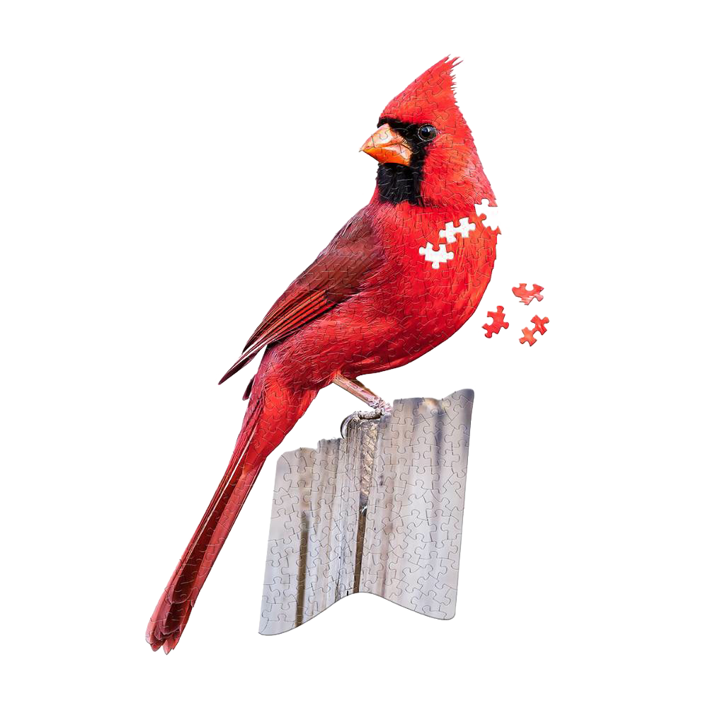 Red cardinal shaped jigsaw puzzle with 300 pieces in Toys & Games, Puzzles, and Under $50 collections