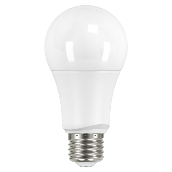 Frosted A19 LED light bulb with medium base for energy-efficient lighting in electrical and home improvement collections