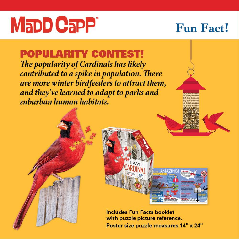 Cardinal bird illustration with puzzle box and fun facts booklet beside a red bird feeder on yellow background