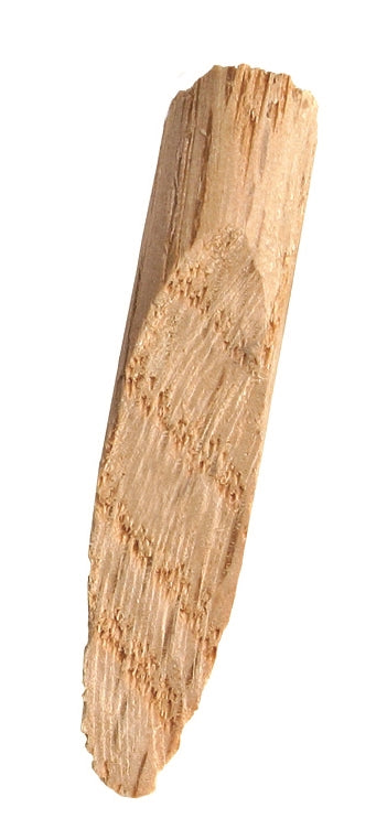 Single natural oak micro pocket hole plug for woodworking tools and tool accessories collections