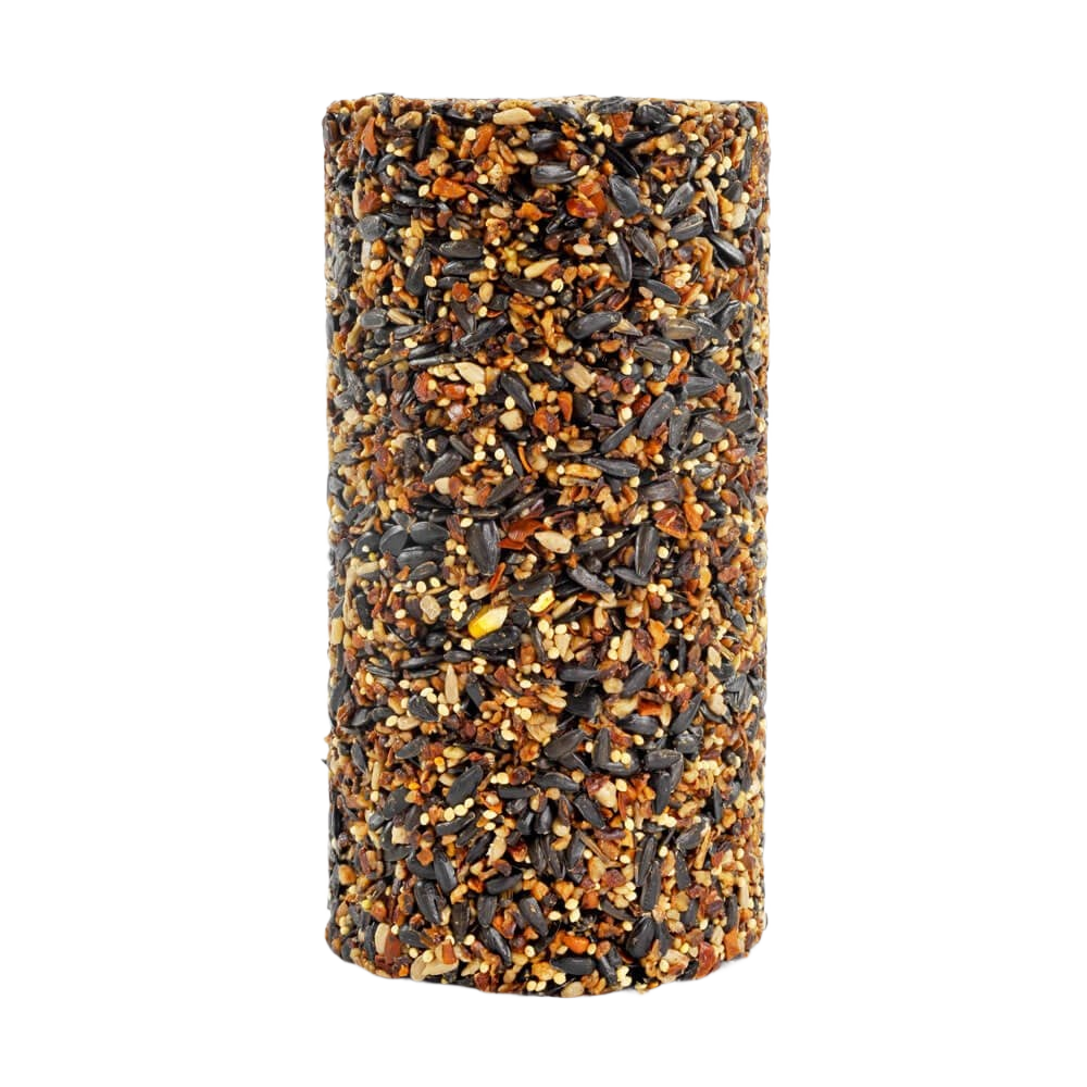 Cylindrical bird seed block with a blend of black oil sunflower, millet, and other seeds for outdoor feeding