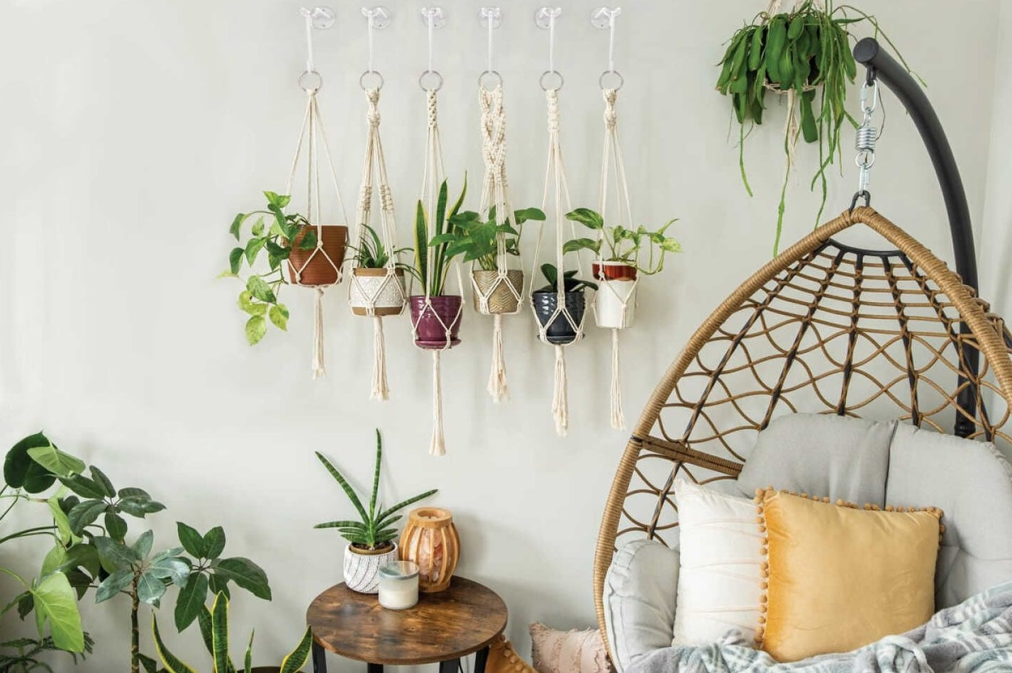 White steel small S-hook plant hangers supporting various hanging planters in a modern indoor home garden setting