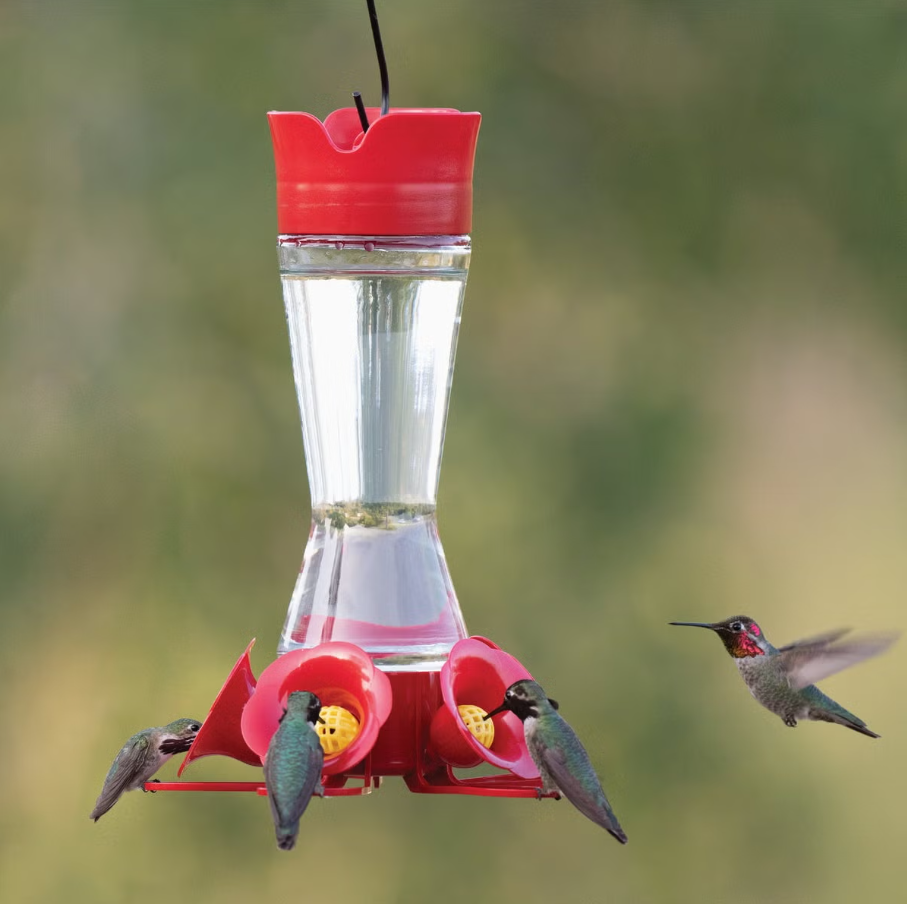 Perky-Pet 16 Oz. Favored Pinch-Waist Glass Hummingbird Feeder