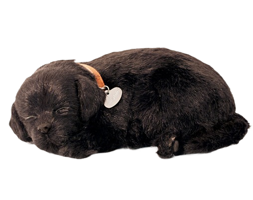 Lifelike black lab plush toy curled up sleeping, part of Dolls & Stuffed Animals and Toys & Games collections