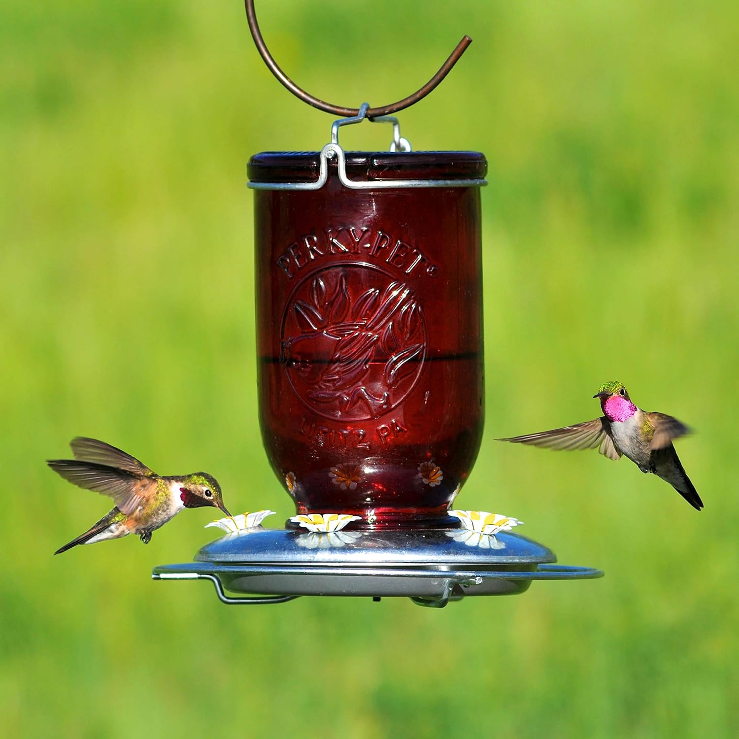 Red glass mason jar hummingbird feeder with white flower feeding ports and two hummingbirds in mid-flight outdoors