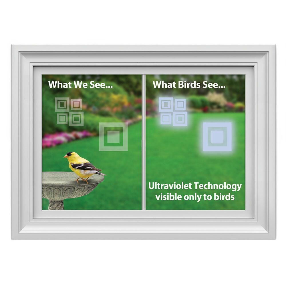 Window showing comparison of visible decals to humans and bright ultraviolet squares visible to birds in wildlife supplies collection