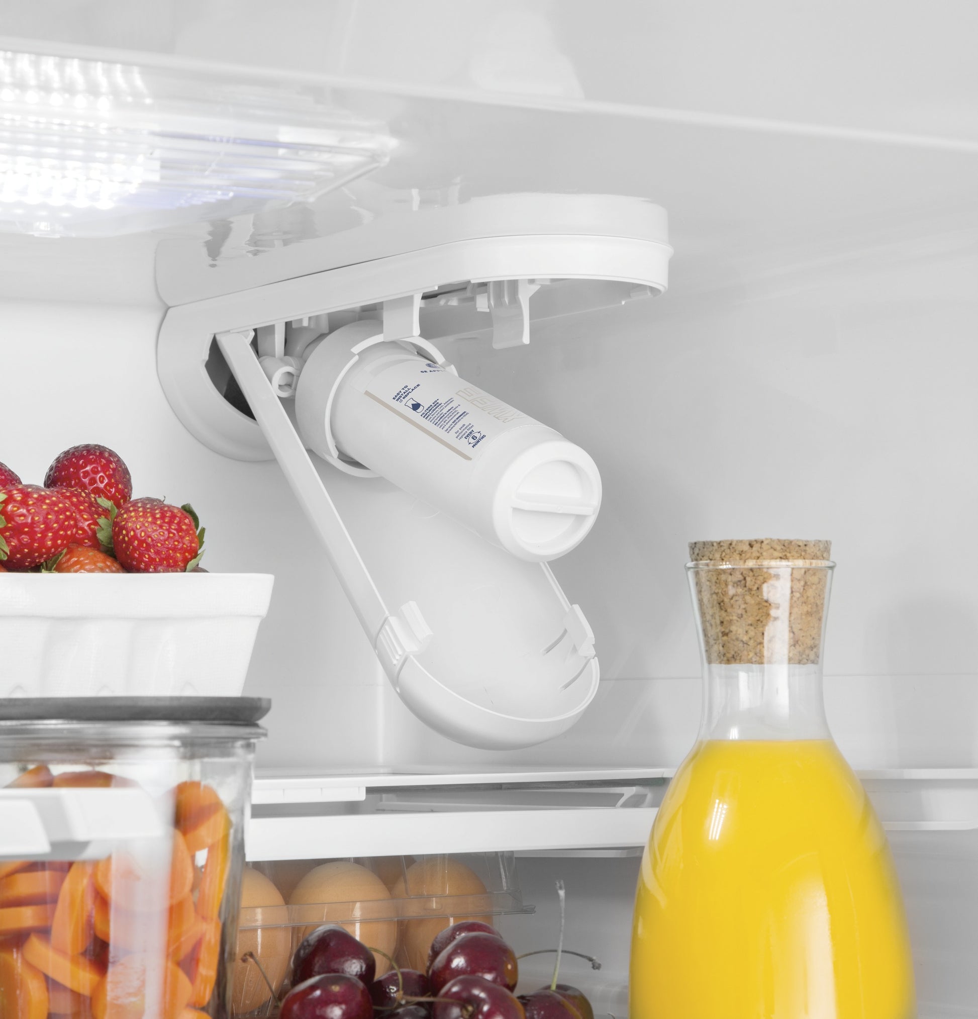 Inside view of refrigerator water filter housing with fresh fruit and juice bottle on shelves in kitchen appliance setup