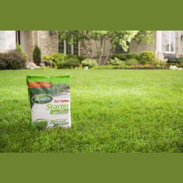 Bag of Scotts Turf Builder starter fertilizer for new grass on green lawn in plant care and lawn garden collections