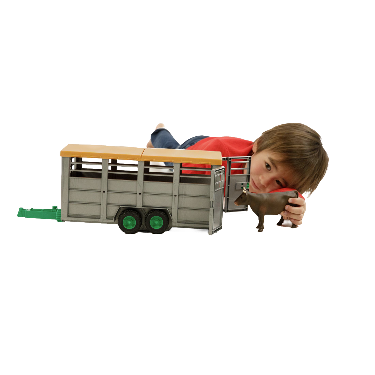 Child playing with Bruder gray livestock trailer toy and brown and black cow figure from vehicles and toys collection
