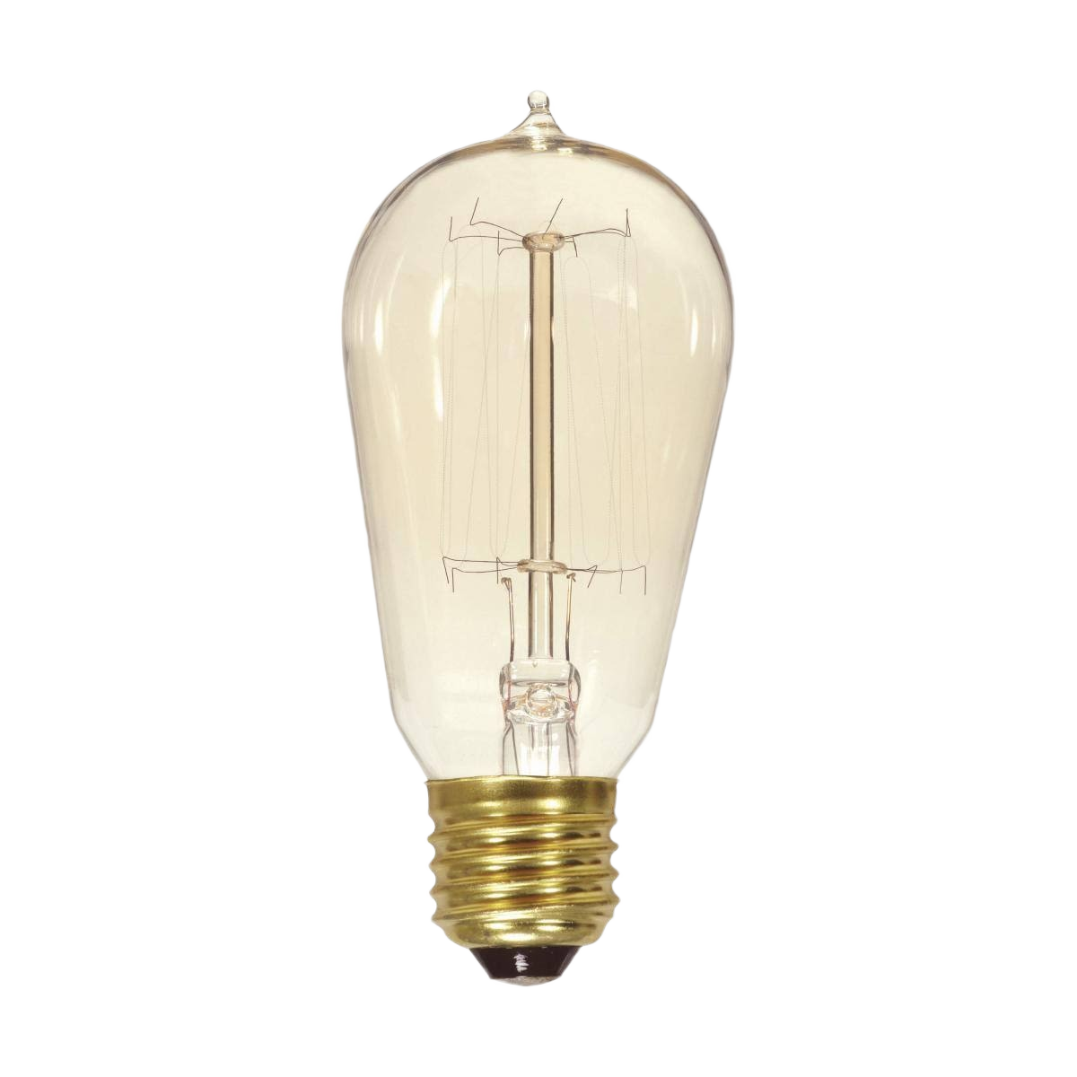 Vintage style incandescent light bulb with clear glass and brass base for lighting and home improvement projects