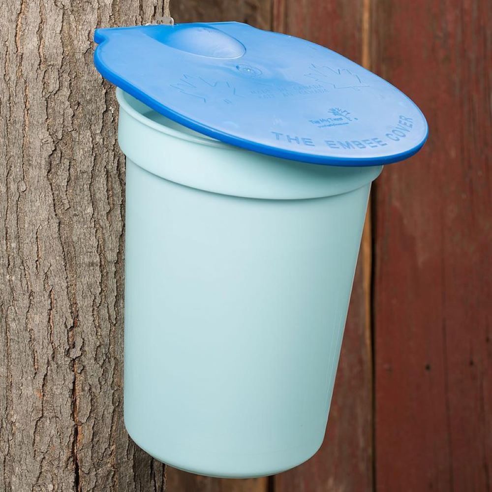 Light blue plastic bucket with blue lid attached to tree for collecting sap in home improvement projects