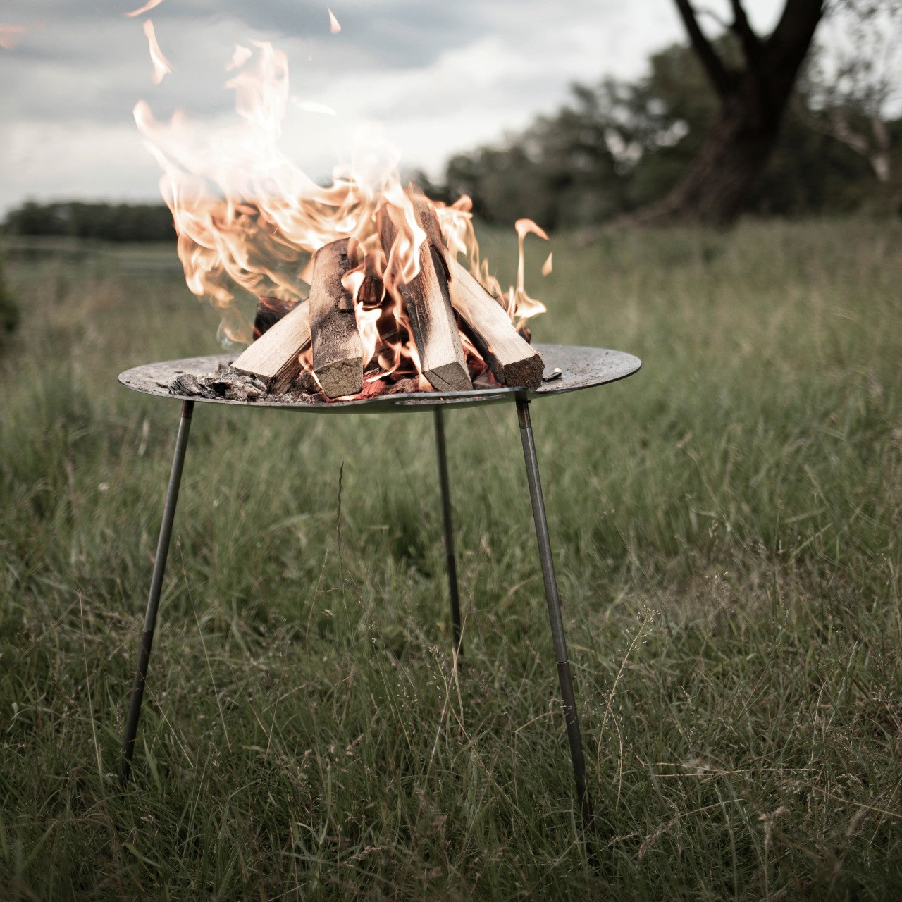 Metal fire bowl on tripod stand with burning logs in grassy field under cloudy sky for camping setup