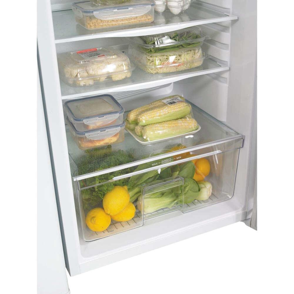 11 CuFt. All Refrigerator,Interior Light,Worktop,Crisper