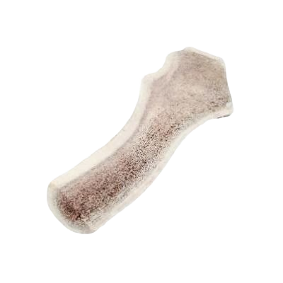 Medium natural split elk antler dog chew for durable and healthy pet treats in dog food and pet supplies collections