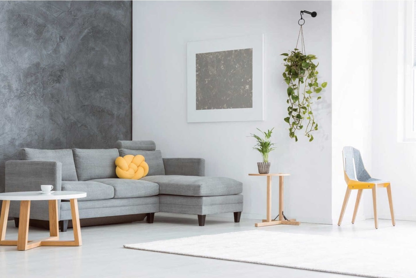 Black steel wall-mounted plant hanger holding trailing green plant in modern bright living room for home improvement use