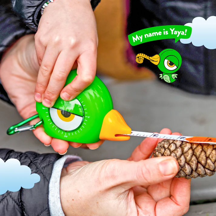 Green bird-shaped 3-in-1 measuring tape tool being used to measure a pine cone for home improvement tasks