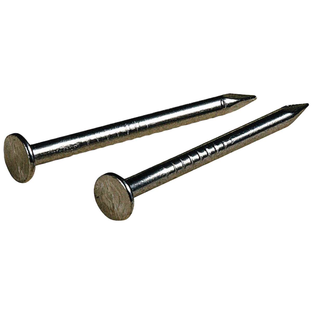 Two stainless steel nails with smooth heads and grooved shafts for hardware and fasteners collections