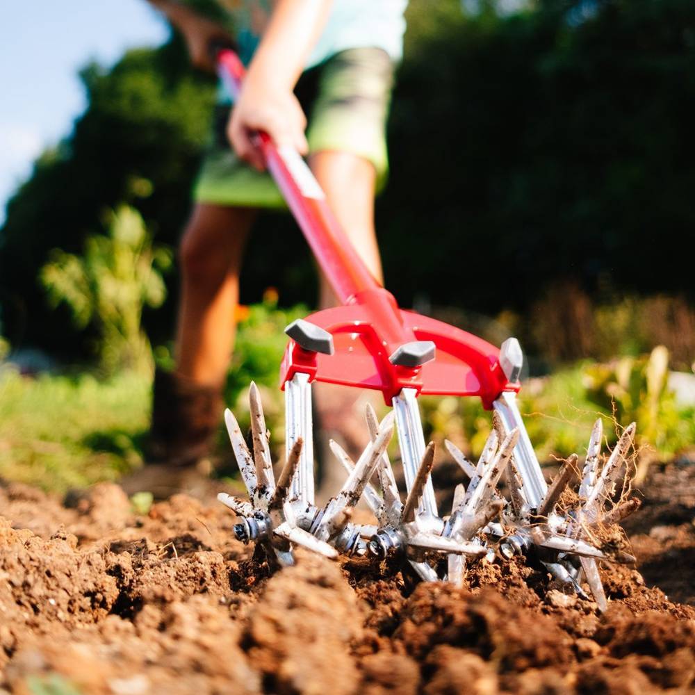Red-handled steel cultivator with rotating spiked blades breaking soil in outdoor garden and hand tools collection