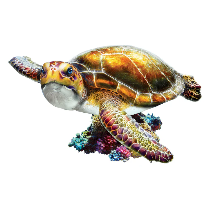 Realistic sea turtle illustration with detailed shell and fins resting on colorful coral reef elements