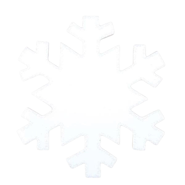 Simple white snowflake ornament with clean lines, ideal for personalized Christmas tree décor under $50