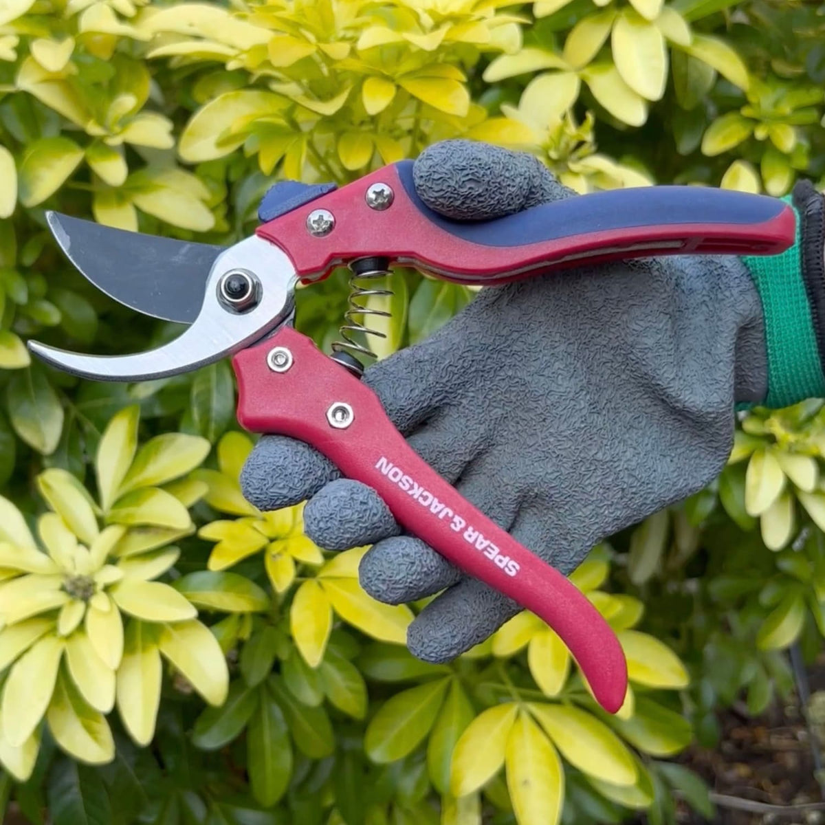 Spear & Jackson Razorsharp Advantage Bypass Secateurs