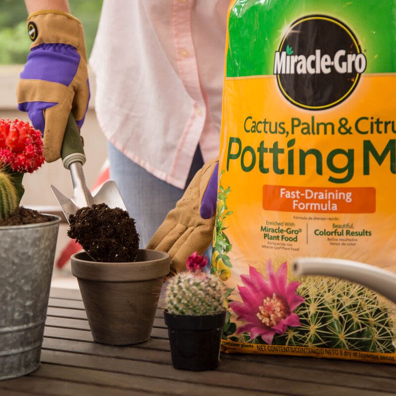 miracle gro cactus palm and citrus soil Miracle-Gro Cactus, Palm & Citrus Potting Mix 8 qts