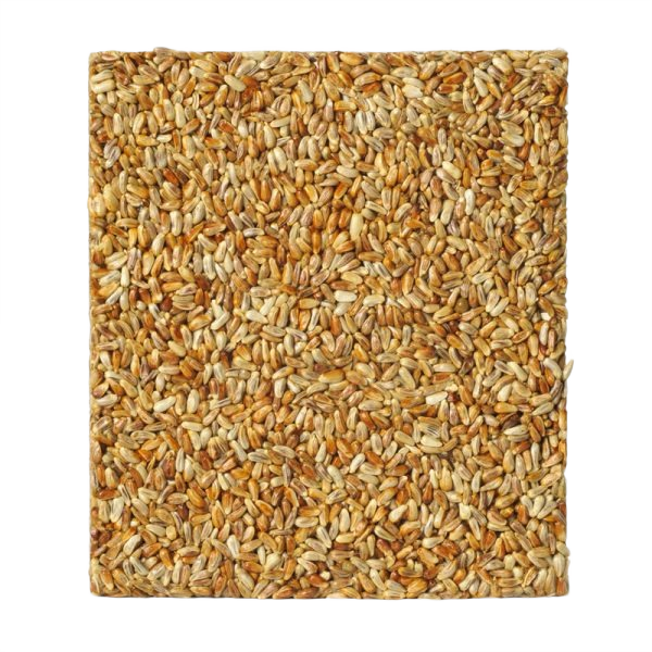Large compact seed cake composed of golden safflower seeds for feeding wild birds outdoors without mess