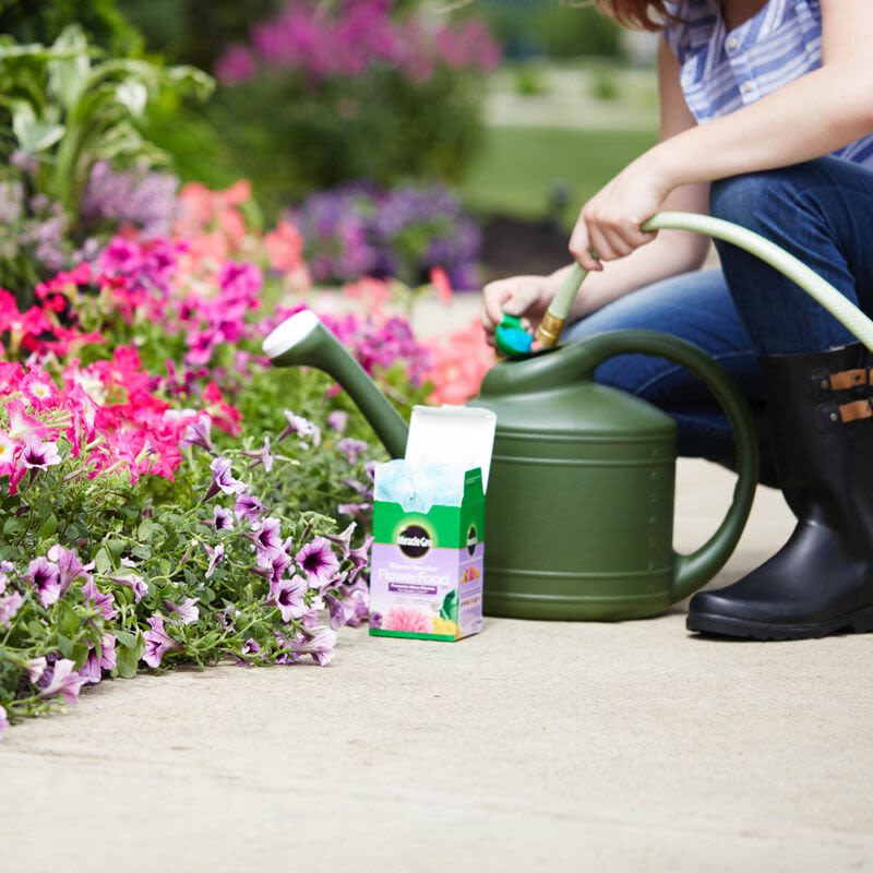 Person using green watering can near colorful blooming flowers with Miracle-Gro plant fertilizer for garden care