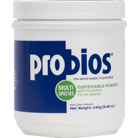 White container of dispersible multi-species probiotic powder with blue and green labeling for animal health use