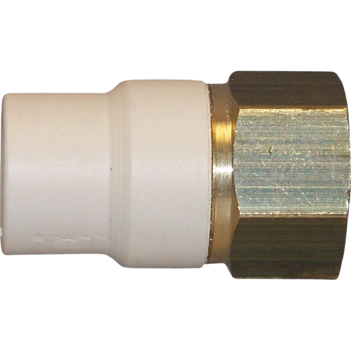Brass and white CPVC plumbing adapter fitting for slip to FIP connection in pipes and fittings collection under $50