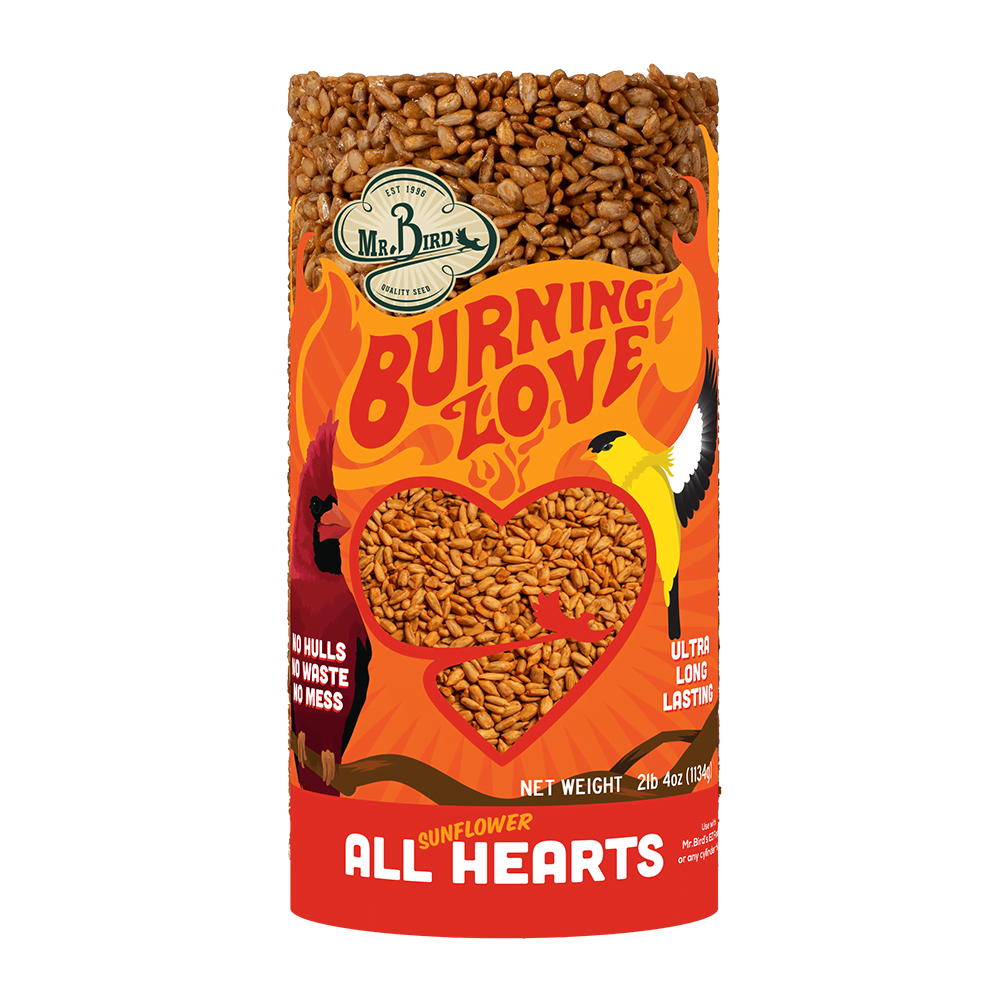 Mr. Bird Burning Love Sunflower Seed Cylinder – No Mess Feed