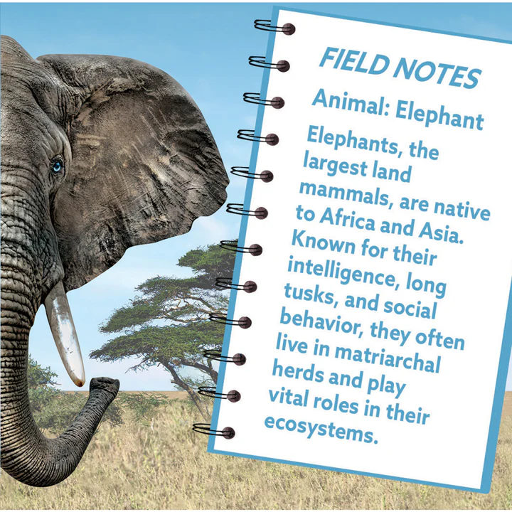 Close-up of an elephant with a notebook page describing elephant facts for educational puzzles and toys collection.