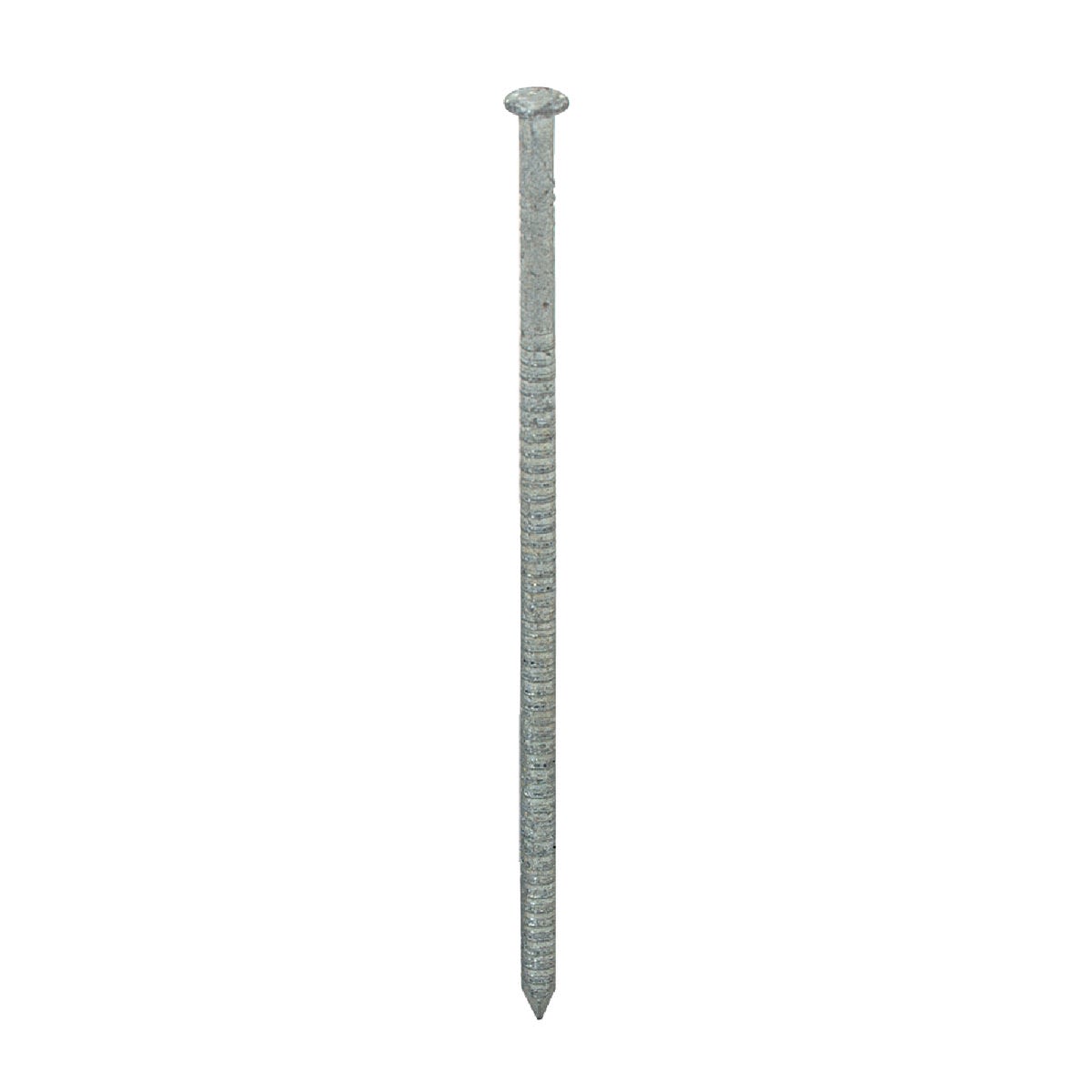 Single galvanized ring shank nail with corrosion-resistant coating for fasteners and lumber building projects under $50
