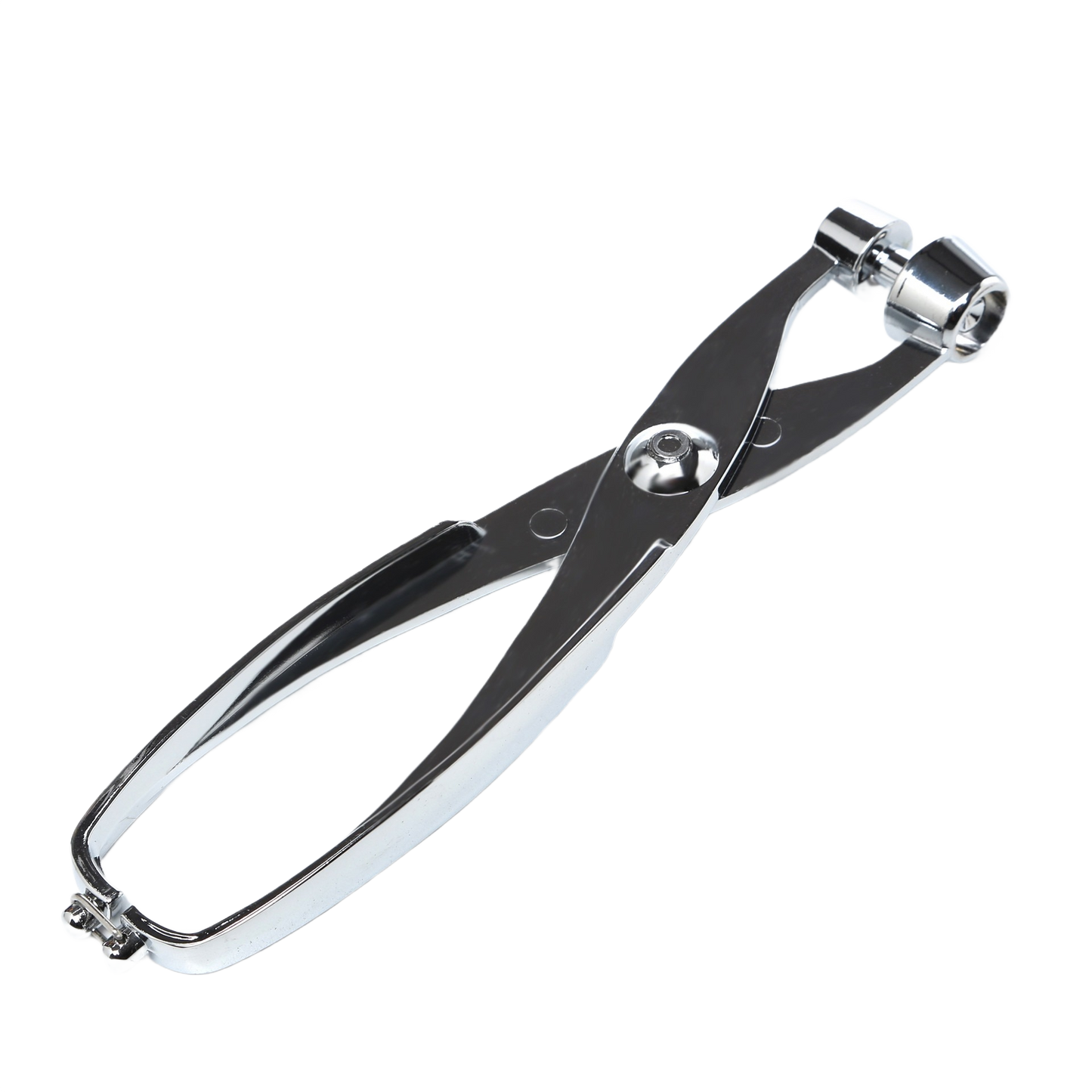 Stainless steel cherry and olive pitter with ergonomic handles for effortless fruit preparation in home kitchens