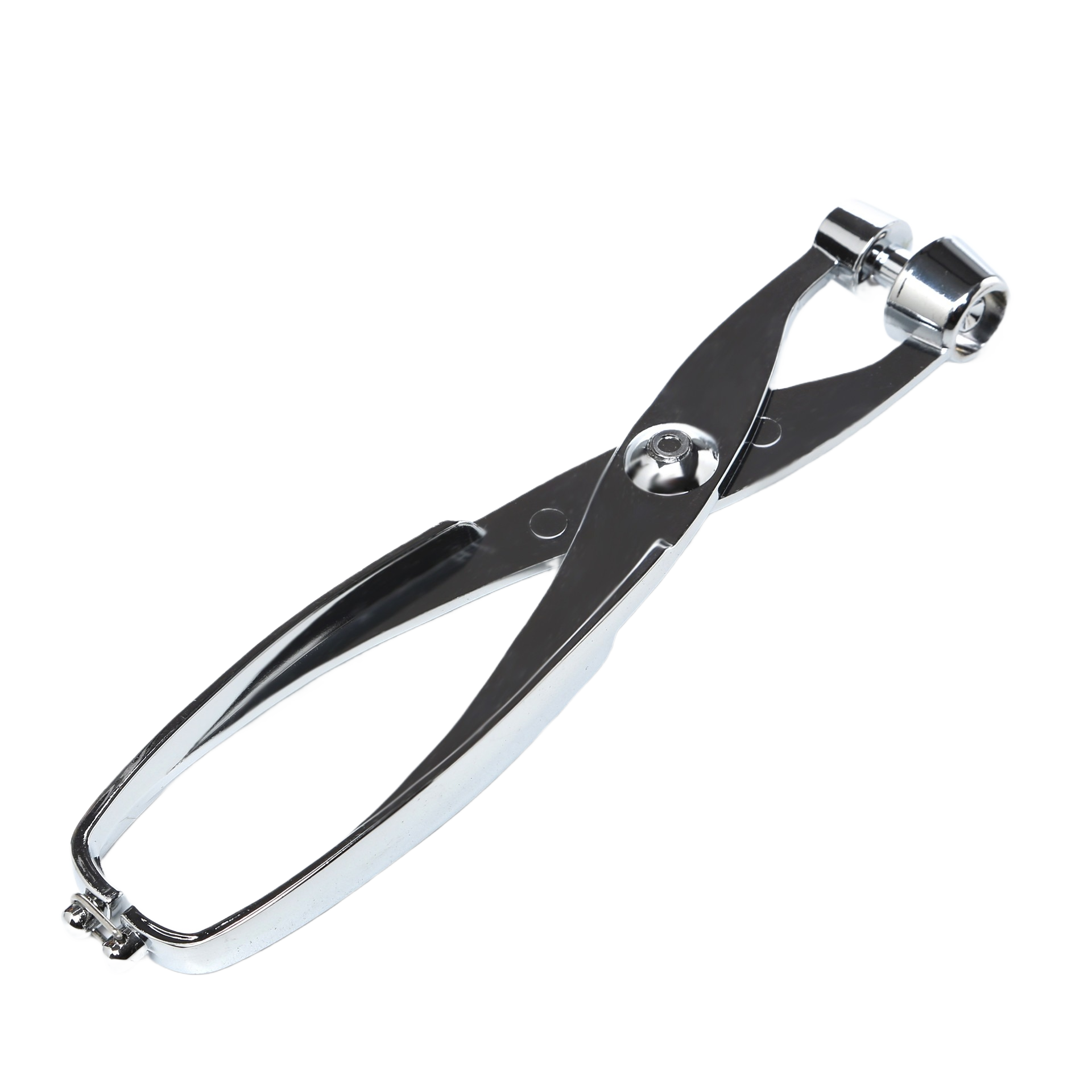 Stainless steel cherry and olive pitter with ergonomic handles for effortless fruit preparation in home kitchens