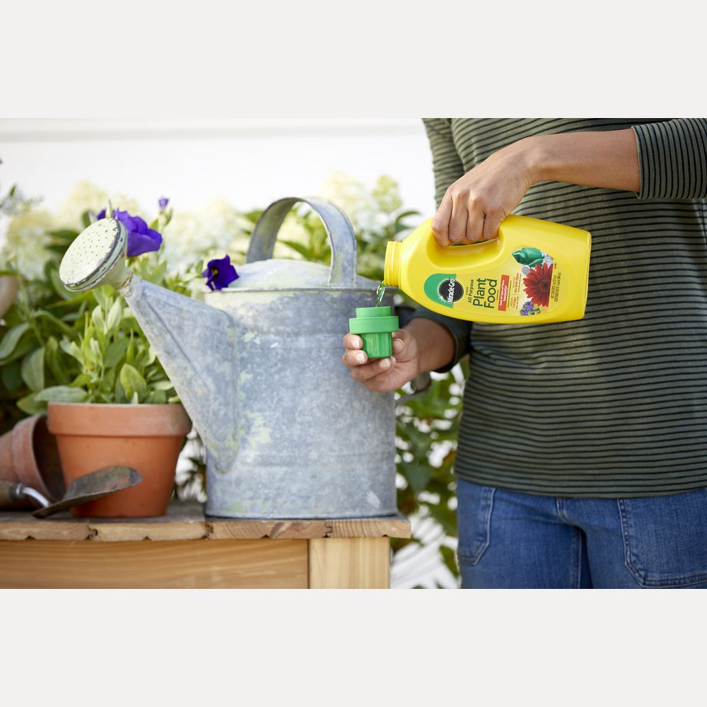 Person pouring yellow plant food into green measuring cup by galvanized metal watering can in lawn and garden collection