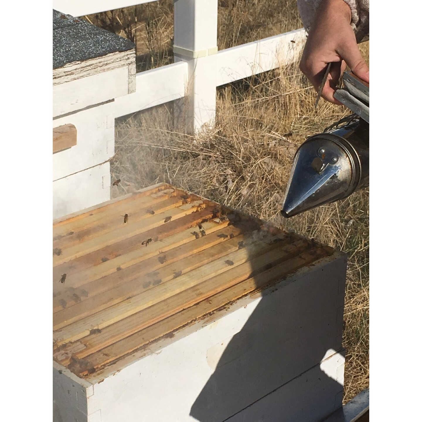 Hand holding stainless steel beekeeper smoker releasing smoke over open wooden beehive frames outdoors in field
