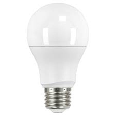 A white A19 LED light bulb with medium base emitting bright 5000K light for lighting and home improvement.