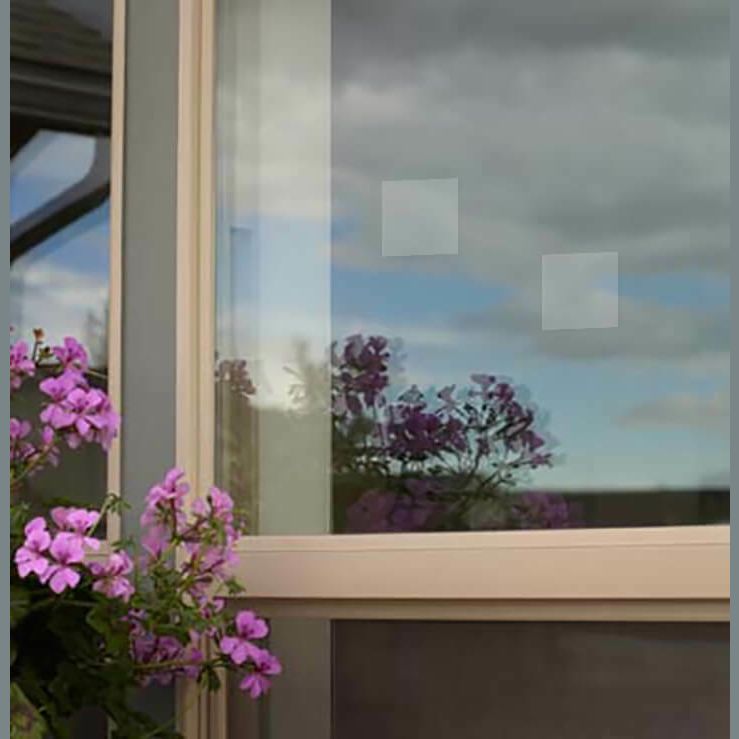 Two small translucent UV decals applied on a window glass with outdoor flowers and sky reflection visible