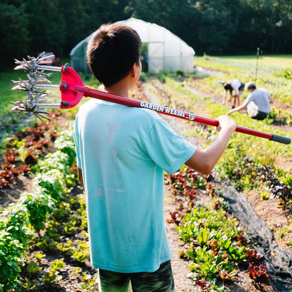 Person carrying a red-handled Garden Weasel steel cultivator over shoulder in a vibrant vegetable garden scene
