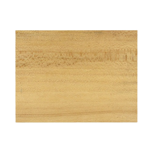 Light brown sycamore wood blank with subtle grain texture, ideal for woodworking tools and woodturning projects under $50 collection