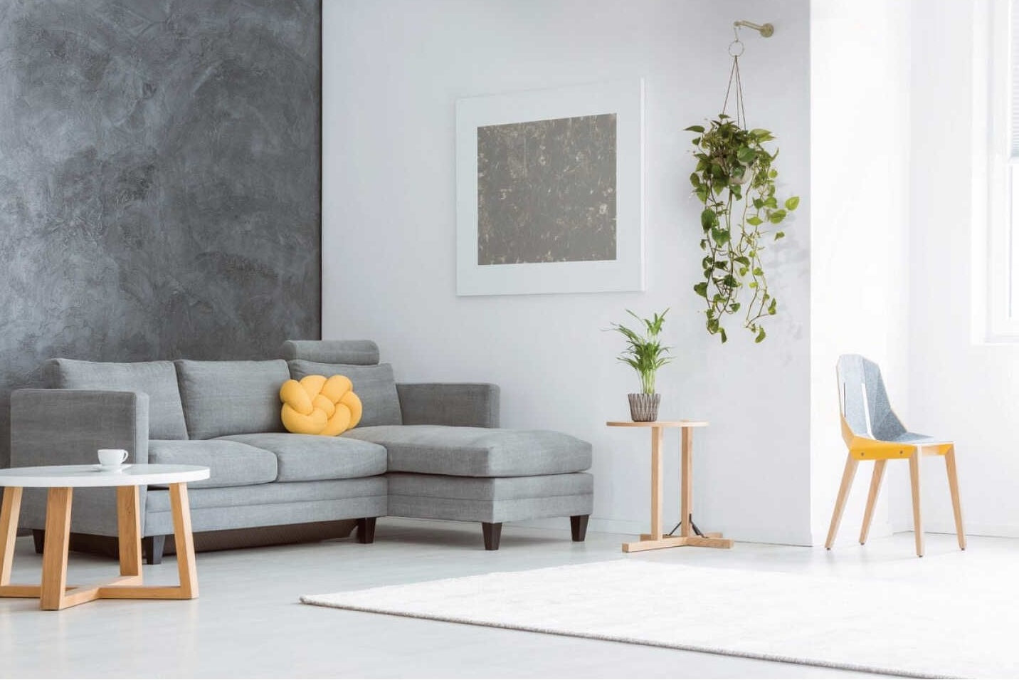 Modern living room with gray sectional sofa, wooden side tables, hanging plant, and minimalist decor under $100 collections