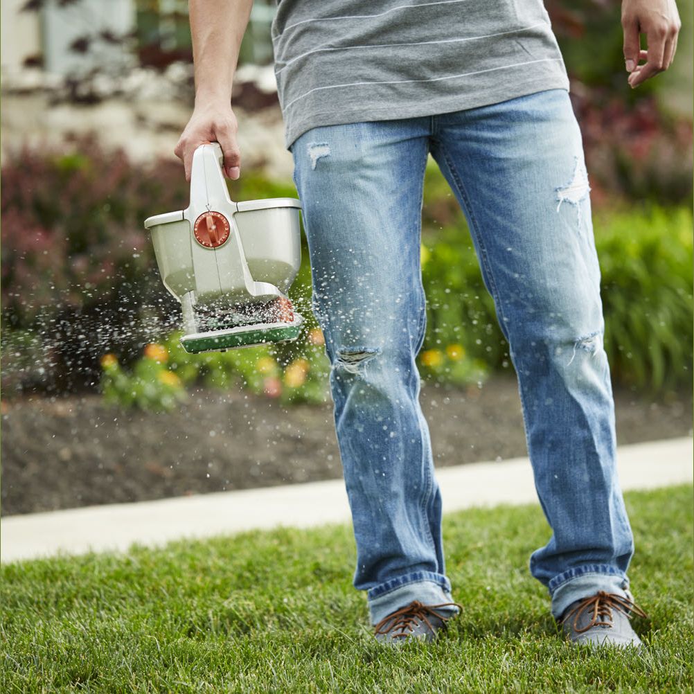 Person using Scotts Wizz handheld spreader on grass for precise lawn care in outdoor tools and garden equipment collection