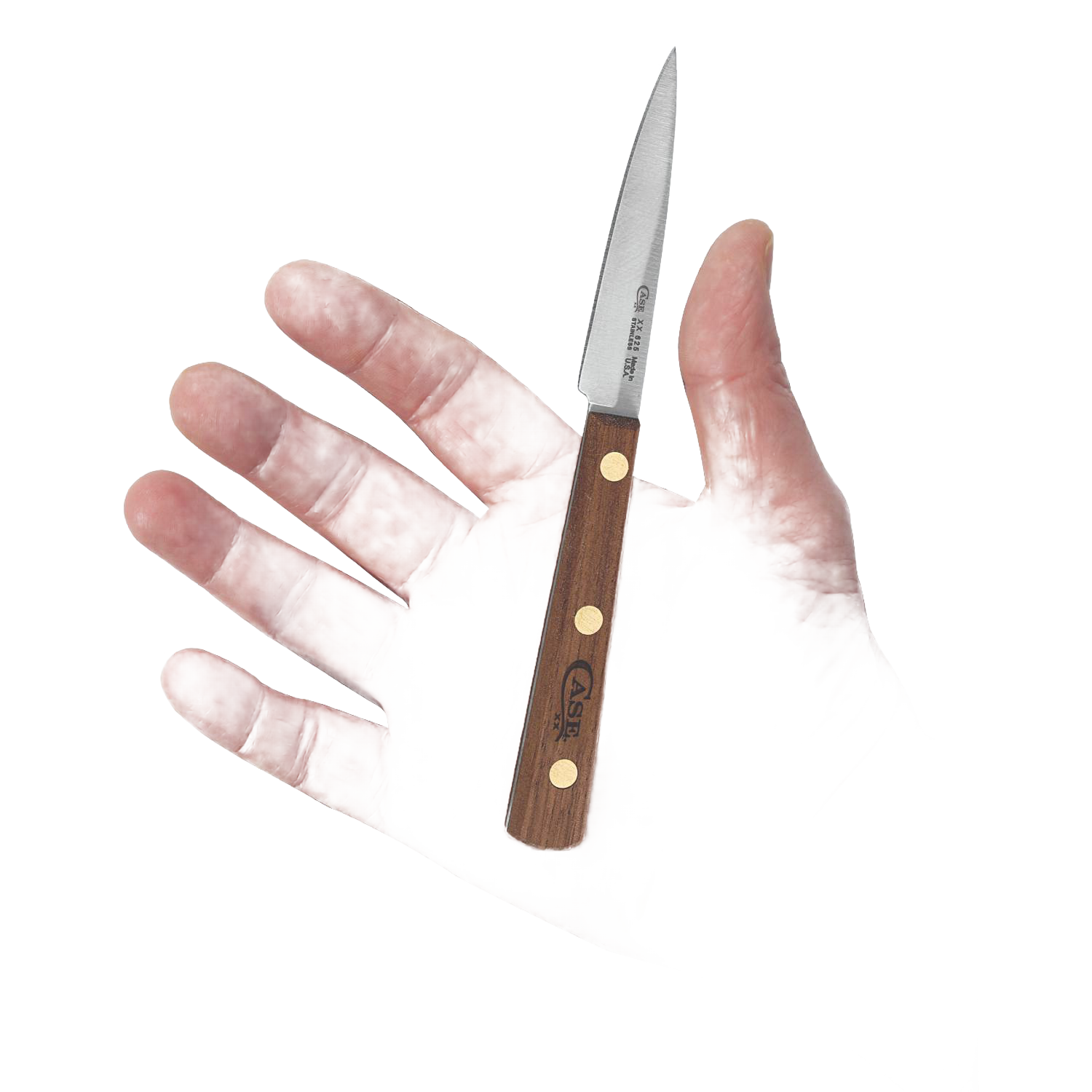 Compact paring knife with wooden handle and brass rivets, sharp spear point blade for precise kitchen tasks under $50.
