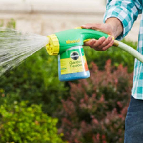 Hand holding a green and yellow garden feeder attached to hose spraying water in a garden setting
