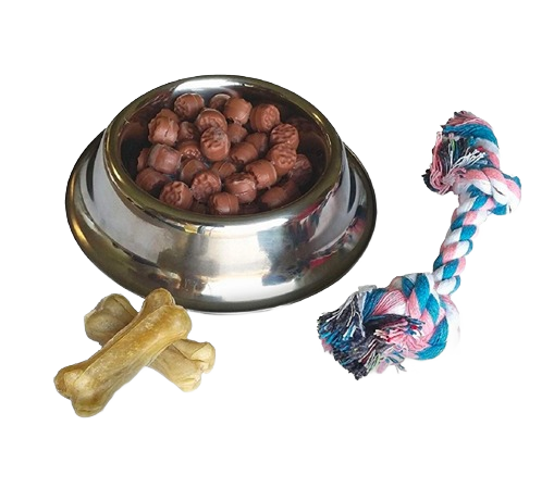 Stainless steel dog bowl with simulated food, two chew bones, and blue, pink, and white rope toy in Toys & Games collection
